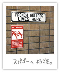 �X�p�S�[�ւ悤�����B